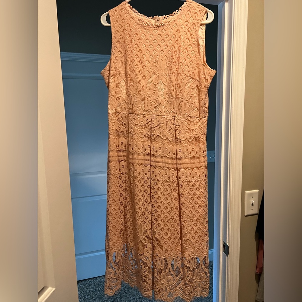 Pink lace midi dress